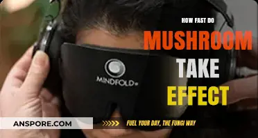 Magic Mushrooms: Quick Effects, Quick Trip