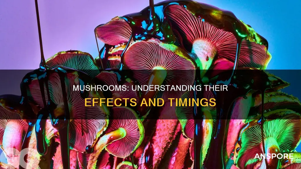 how fast do mushrooms work