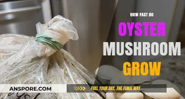Rapid Oyster Mushroom Growth: Secrets to Speedy Harvesting