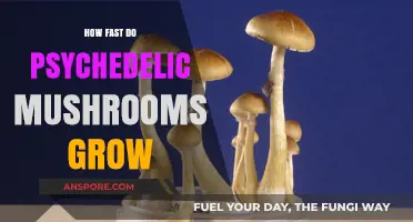 Psychedelic Mushroom Growth Speed: Unveiling the Rapid Development Process