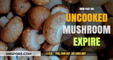 Mushroom Lifespan: How Long Do They Last Fresh?