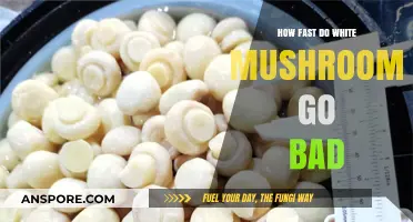 How Quickly Do White Mushrooms Spoil? A Freshness Guide