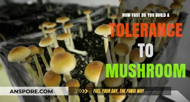 Understanding Mushroom Tolerance and Its Rapid Build-Up