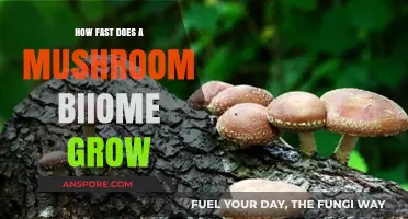 Rapid Growth of Mushroom Biomes: Unveiling Their Speedy Development