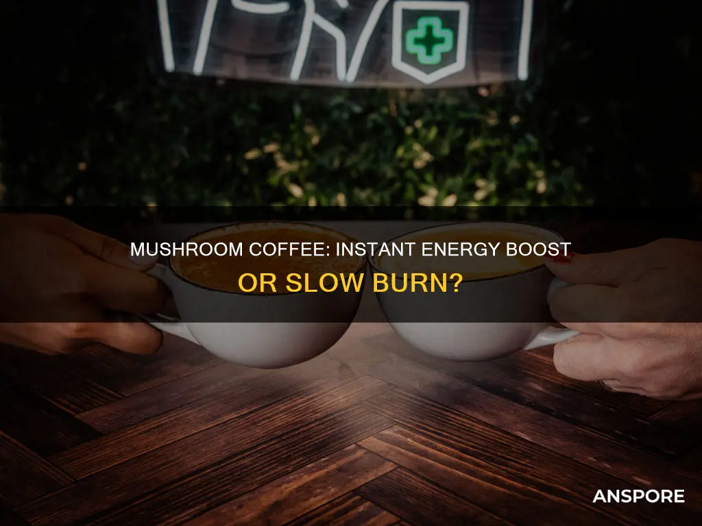 how fast does mushroom coffee work