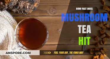 Mushroom Tea Effects: How Soon Do They Kick In?