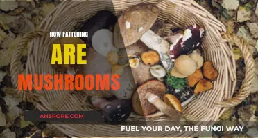 Mushrooms: Nutritional Value and Calories Explained