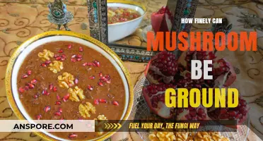 Exploring the Limits: How Finely Can Mushrooms Be Ground?