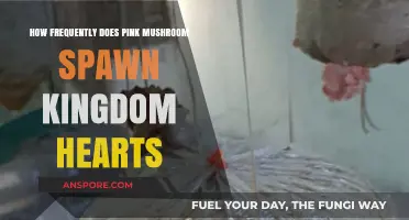 Where to Find Pink Mushrooms in Kingdom Hearts