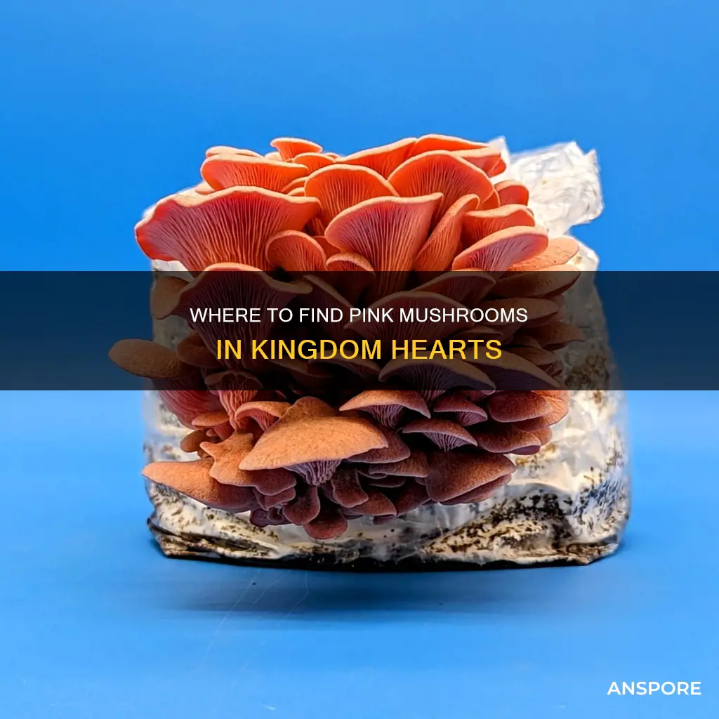 how frequently does pink mushroom spawn kingdom hearts