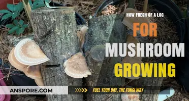 Optimal Log Freshness for Successful Mushroom Cultivation: A Comprehensive Guide