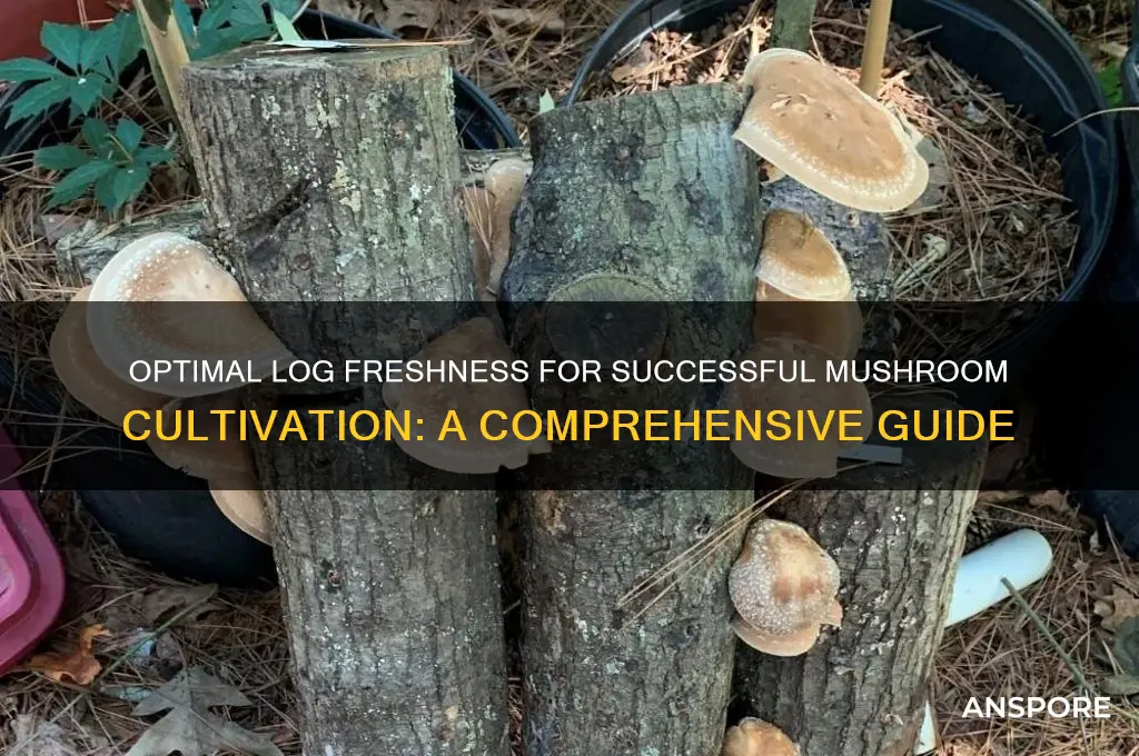 how fresh of a log for mushroom growing