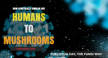 Unraveling the Genetic Mystery: Humans vs. Mushrooms