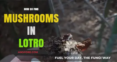 Finding Mushrooms in LOTRO: A Beginner's Guide to Foraging