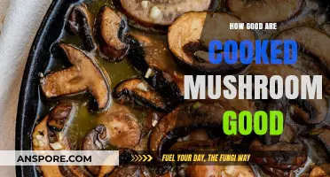 Cooked Mushrooms: Unlocking Flavor, Nutrition, and Culinary Versatility
