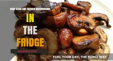 Cooked Mushrooms in the Fridge: Storage Tips and Freshness Guide