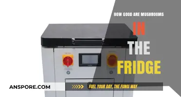 Maximizing Mushroom Freshness: Optimal Fridge Storage Tips and Tricks