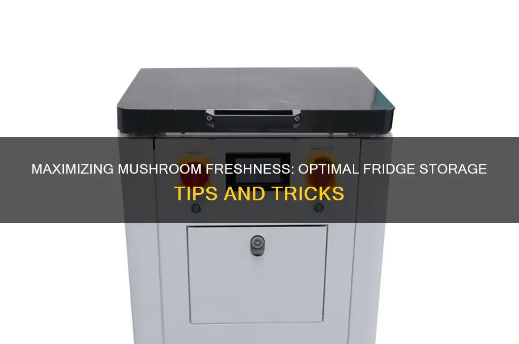 how good are mushrooms in the fridge