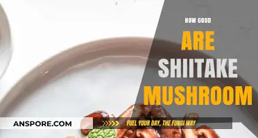 Shiitake Mushrooms: Unveiling Their Flavor, Health Benefits, and Culinary Versatility
