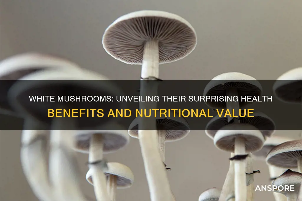 how good are white mushrooms for you