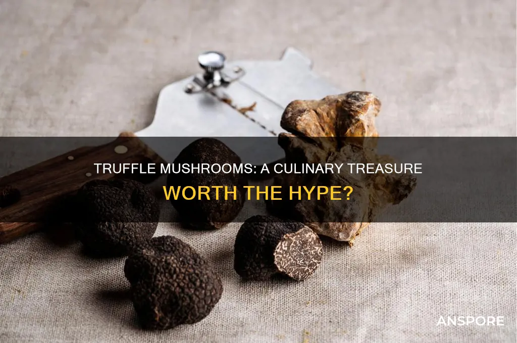 how good is a truffle mushroom