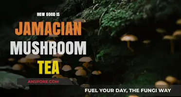 Jamaican Mushroom Tea: Unveiling Its Benefits, Flavor, and Cultural Significance