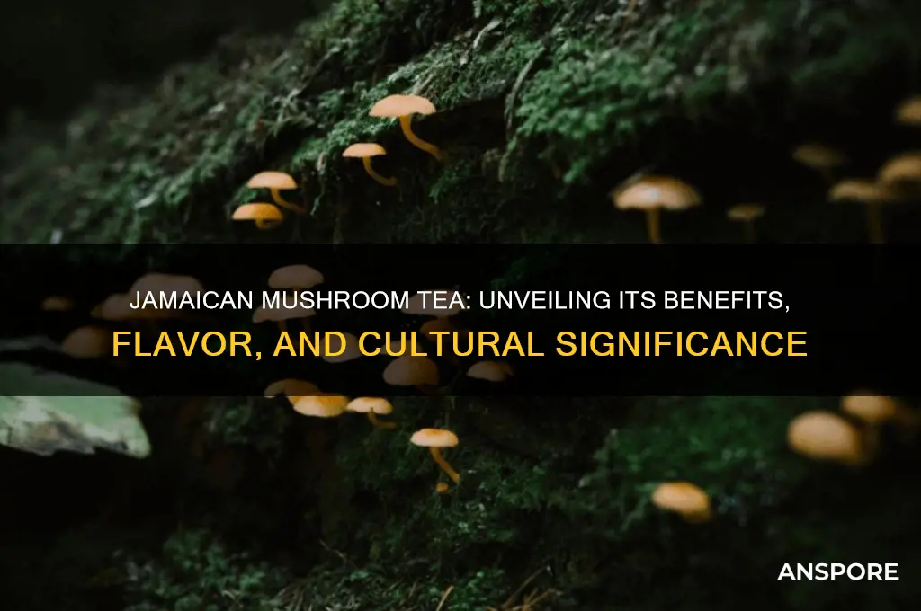 how good is jamacian mushroom tea