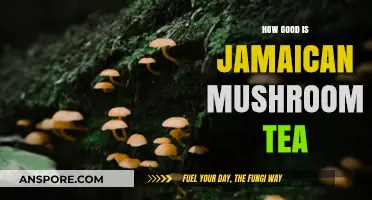 Jamaican Mushroom Tea: Unveiling Its Benefits, Flavor, and Cultural Significance