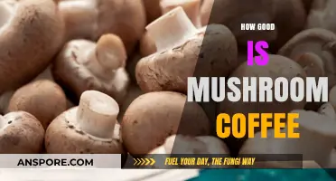 Mushroom Coffee: Unveiling the Health Benefits and Flavor Experience