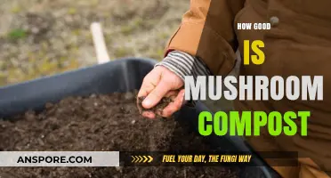 Mushroom Compost Benefits: Enhancing Soil Health and Plant Growth Naturally
