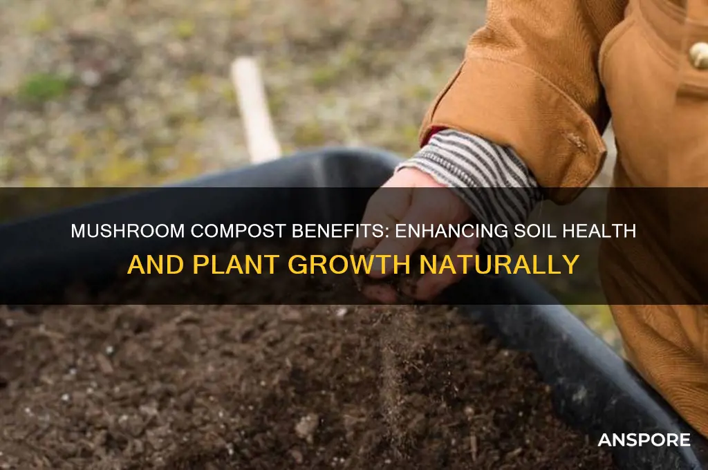 how good is mushroom compost