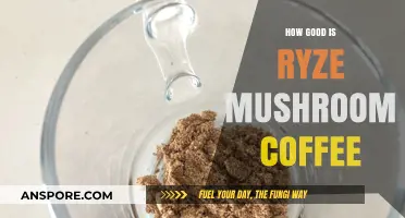 Ryze Mushroom Coffee Review: Benefits, Taste, and Energy Boost Explored