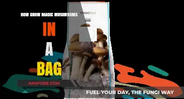 Simple Steps to Grow Magic Mushrooms in a Bag at Home