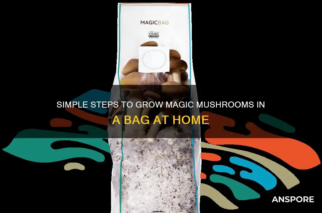 how grow magic mushrooms in a bag