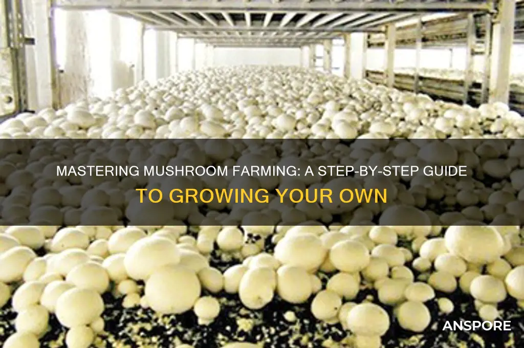 how grow mushroom farm