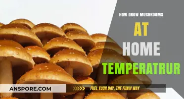 Mastering Home Mushroom Cultivation: Optimal Temperature Tips for Success