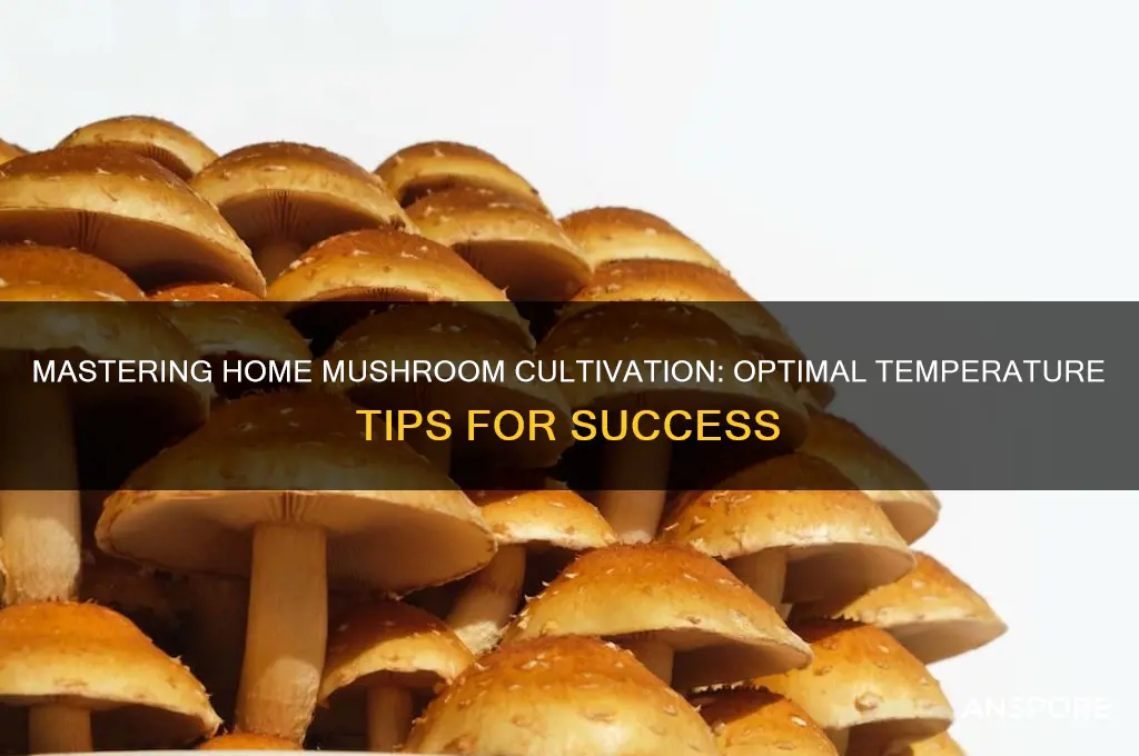 how grow mushrooms at home temperatrure