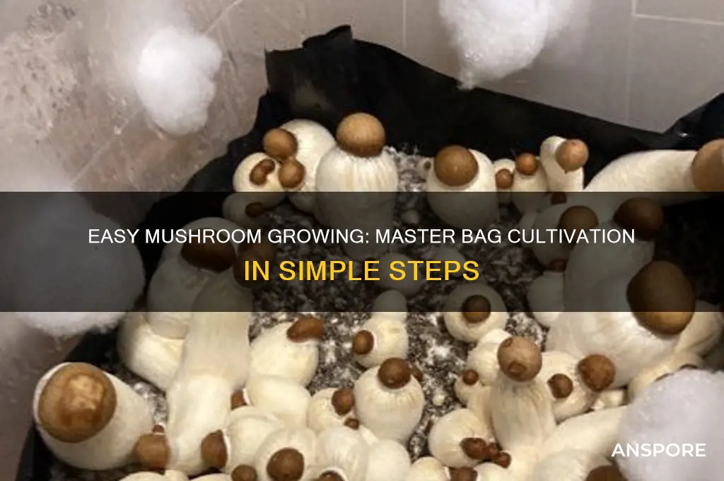 how grow mushrooms in a bag
