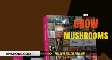 Mastering Mushroom Cultivation: A Beginner's Guide to Growing Mushrooms