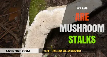 Mushroom Stalks: Hardness and Its Surprising Applications