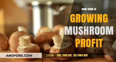 Profitable Mushroom Farming: Challenges and Rewards of Growing Mushrooms