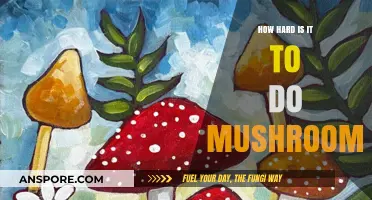 Tripping on Shrooms: Is It Worth the Effort?