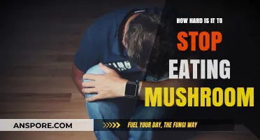 Breaking the Mushroom Habit: Challenges of Quitting Fungus Addiction