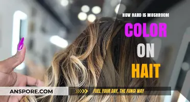 Mushroom Hair Color: Is It Hard to Maintain?