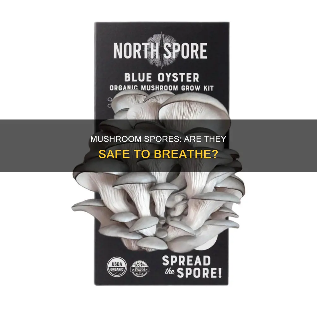 how harmful is breathing in mushroom spores