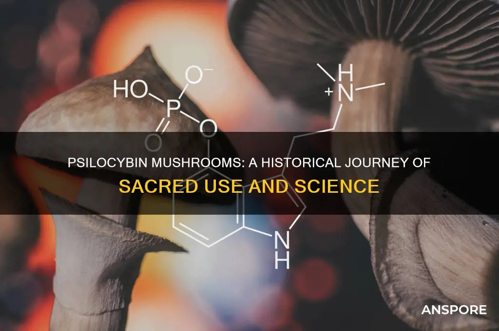 how has psilocybin mushroom been used since its inception