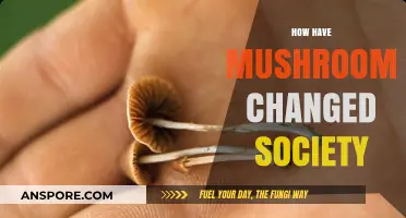 Mushrooms: Society's Transformative Fungal Force