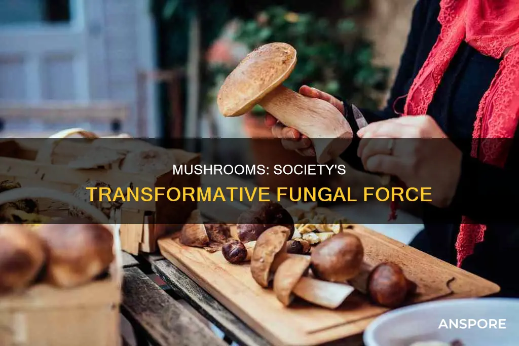 how have mushrooms changed society