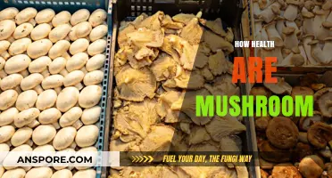 Mushrooms: Nature's Superfood for Your Health