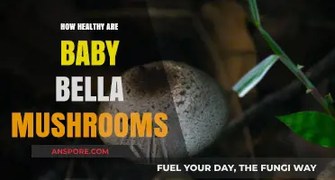 Baby Bella Mushrooms: Healthy Superfood?